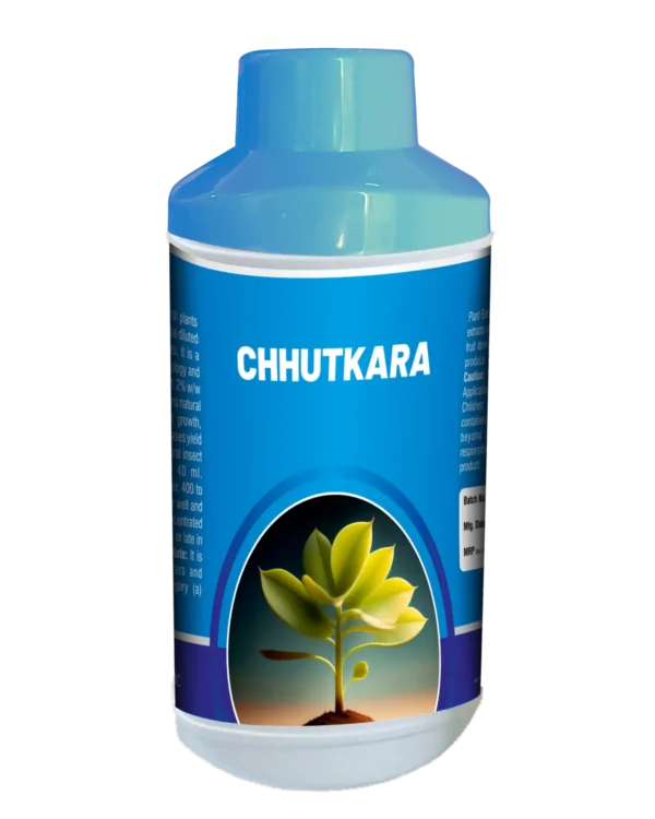 Chhutkara_Triangle