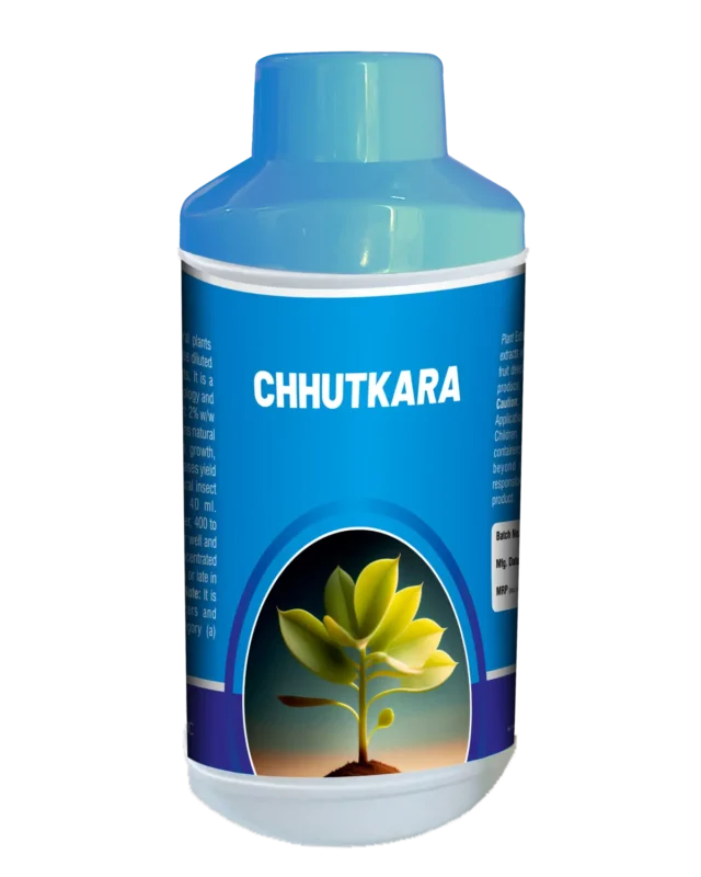 Chhutkara_Triangle