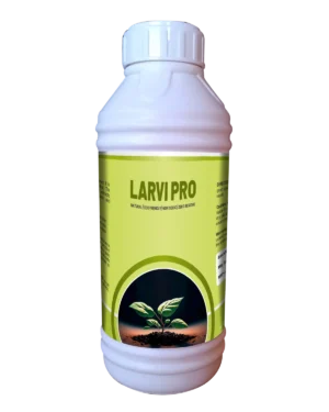 Larvi pro_Jumbo