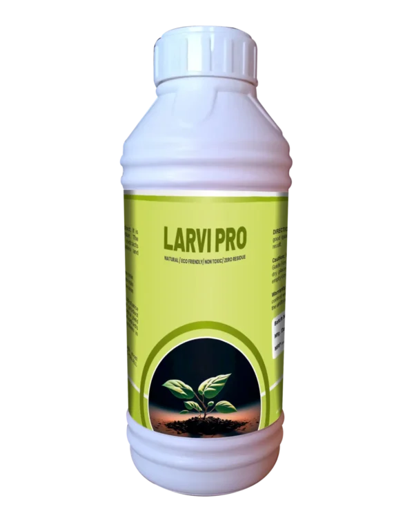 Larvi pro_Jumbo