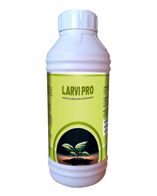 Larvi pro_Jumbo