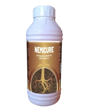 Nemicure jumbo