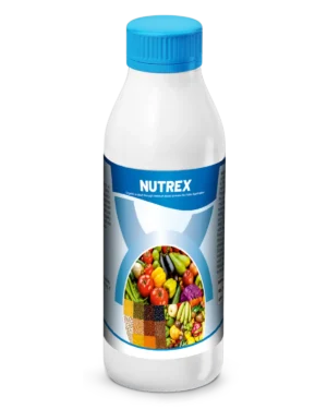 Nutrex new