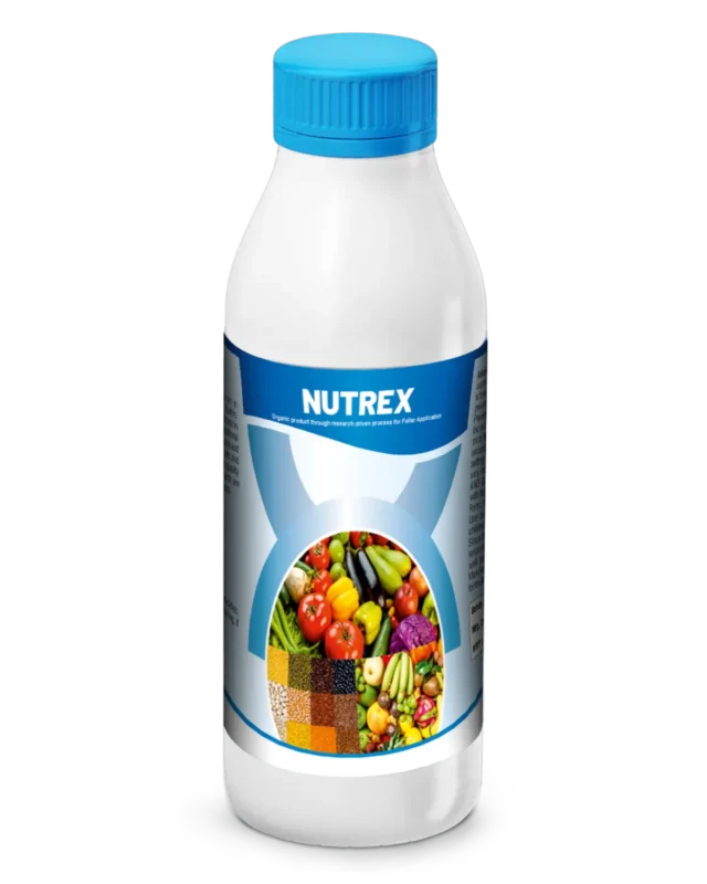Nutrex new