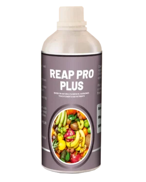 Reapro plus