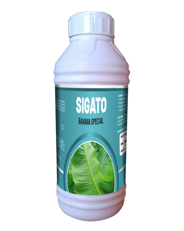 Sigato