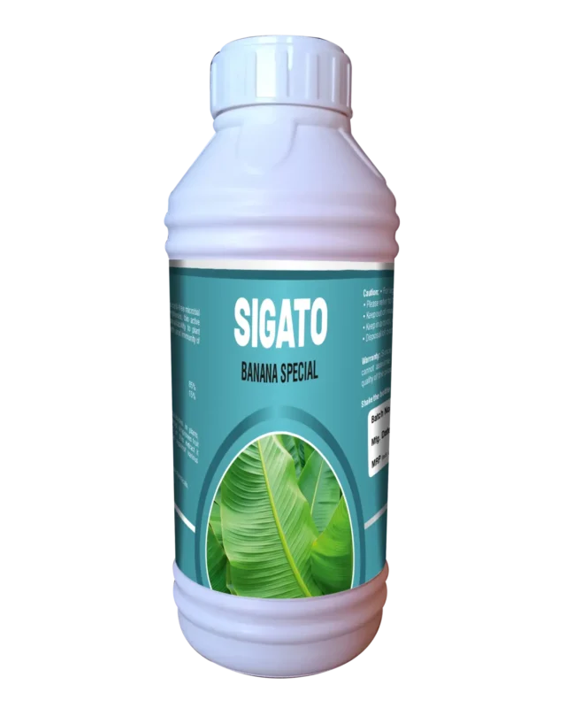 Sigato