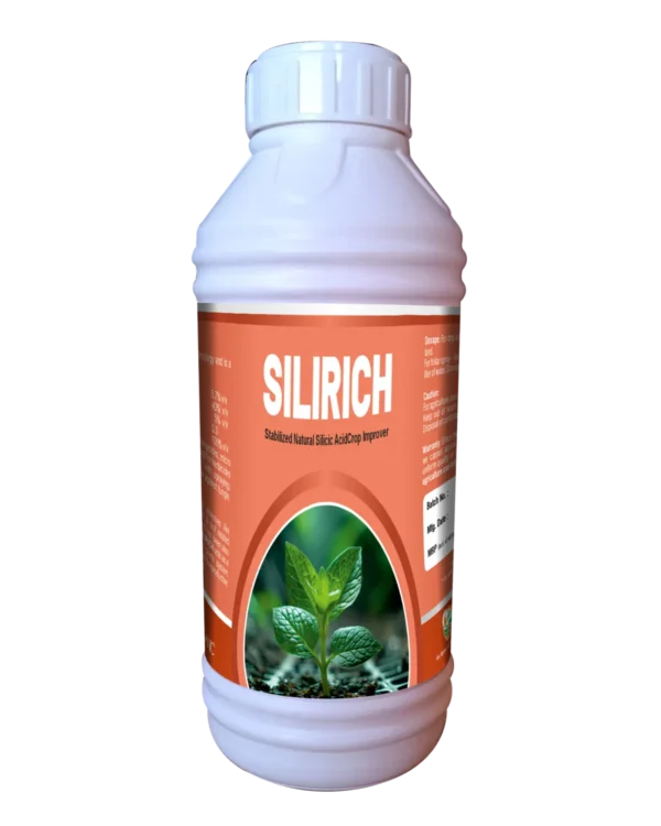 Silirich jumbo