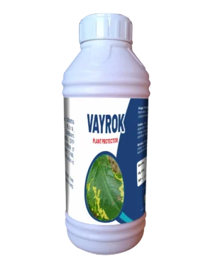 Vayrock