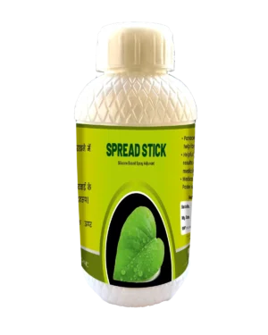 speardStick barfi