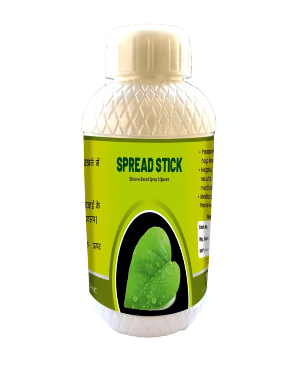 speardStick barfi