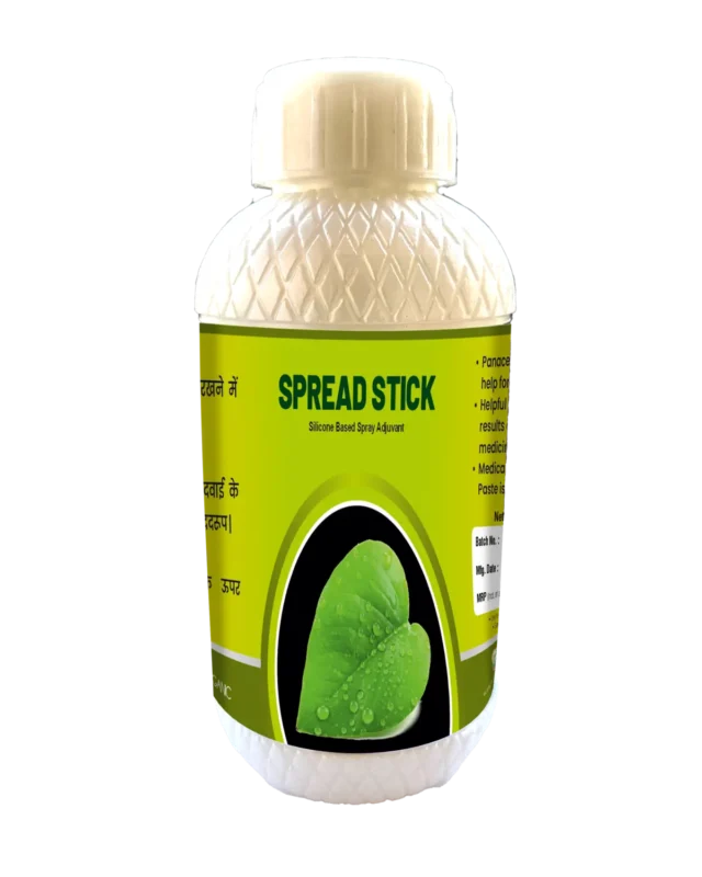 speardStick barfi