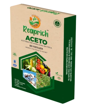 Aceto box
