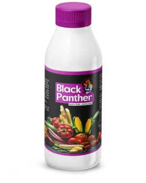 Black Panther