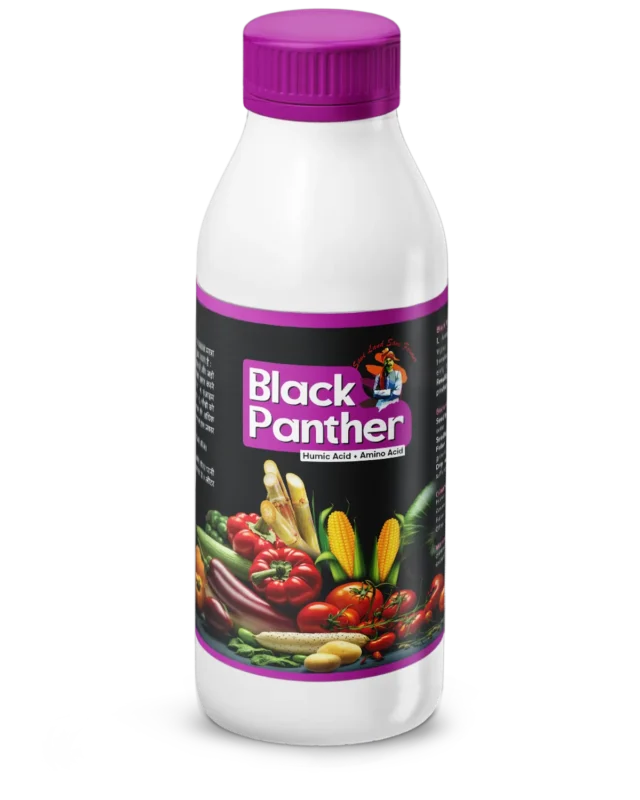 Black Panther