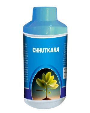Chhutkara_Triangle