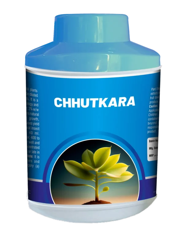 Chhutkara_Triangle