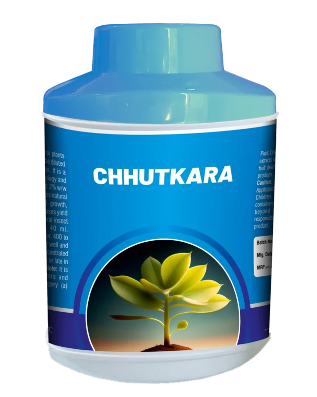 Chhutkara_Triangle