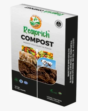 Compost Box
