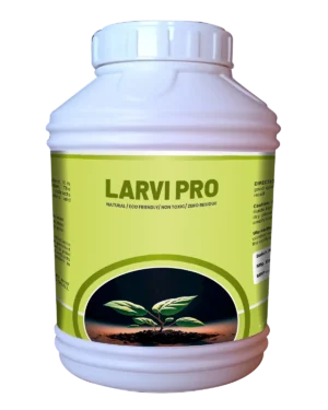 Larvi pro_Jumbo