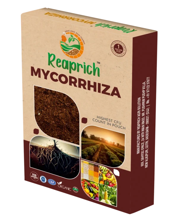 Mycorrhiza Box