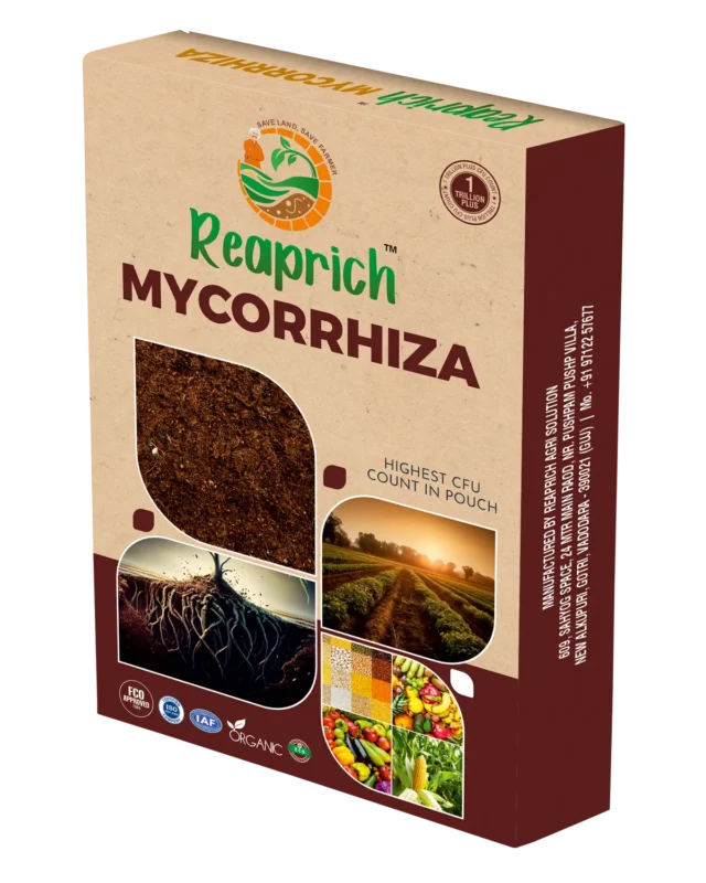 Mycorrhiza Box