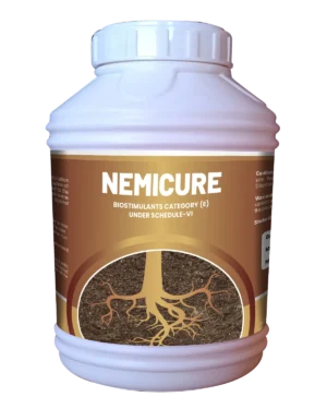 Nemicure jumbo