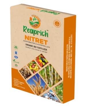Nitret Box