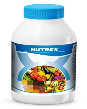 Nutrex new