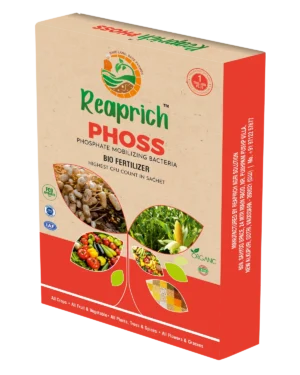 Phoss box