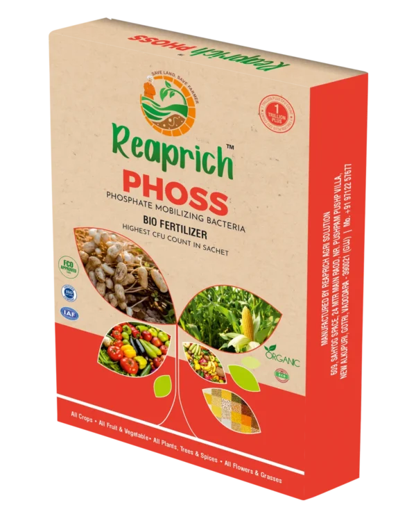Phoss box