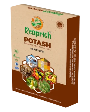 Potash Box