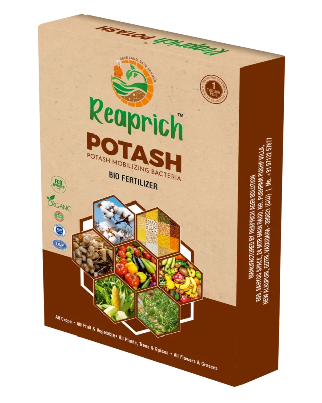 Potash Box
