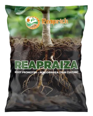 ReapRaiza