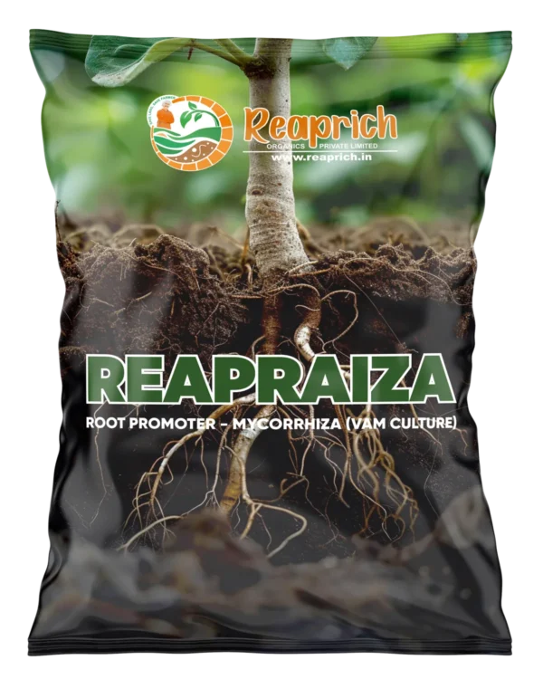 ReapRaiza