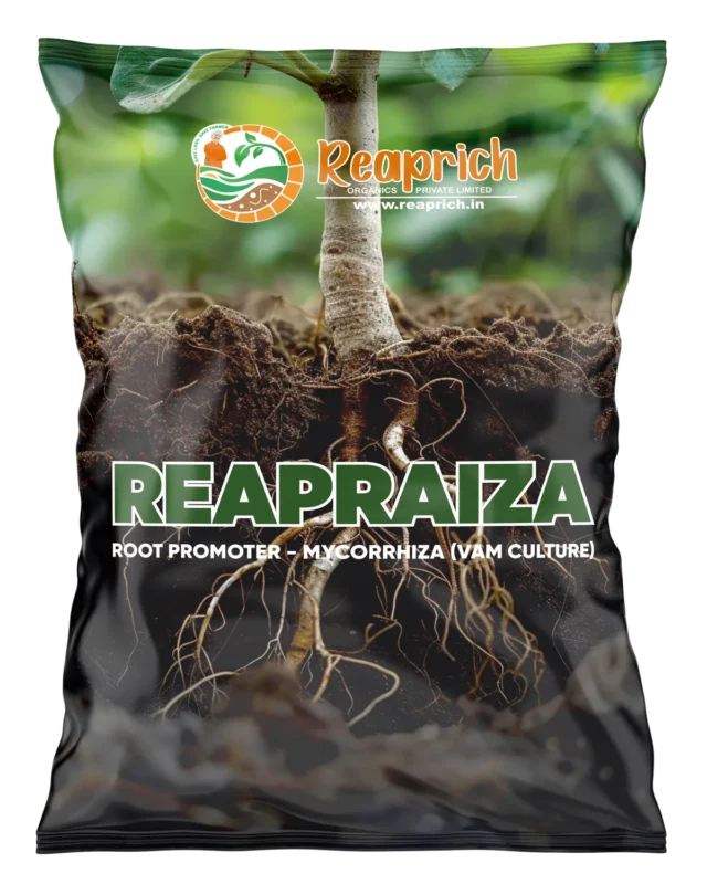 ReapRaiza