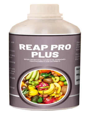 Reapro plus