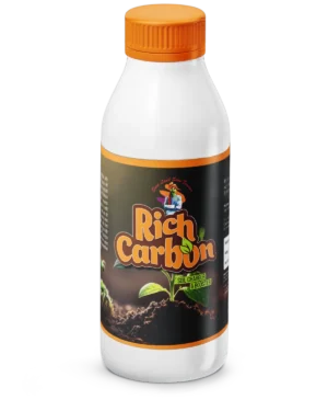Rich Carbon