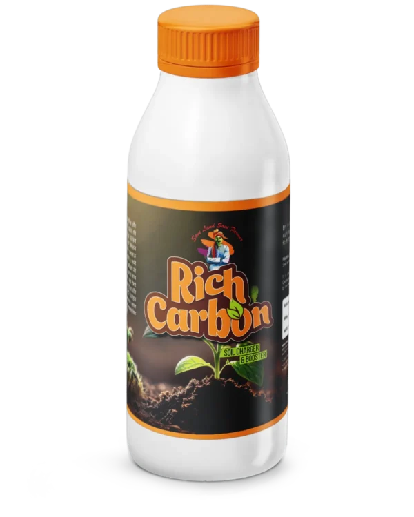 Rich Carbon