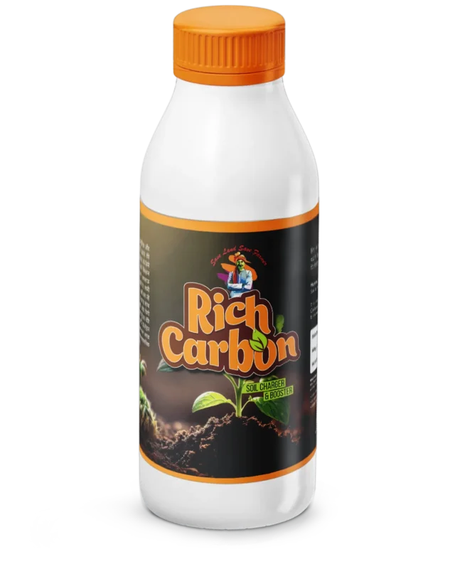 Rich Carbon