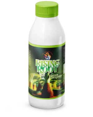 Rising Root