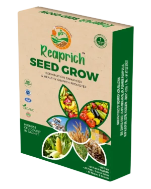 Seed Grow box