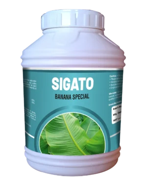 Sigato