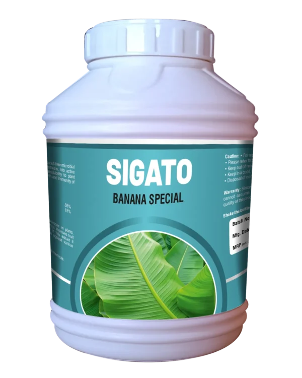 Sigato