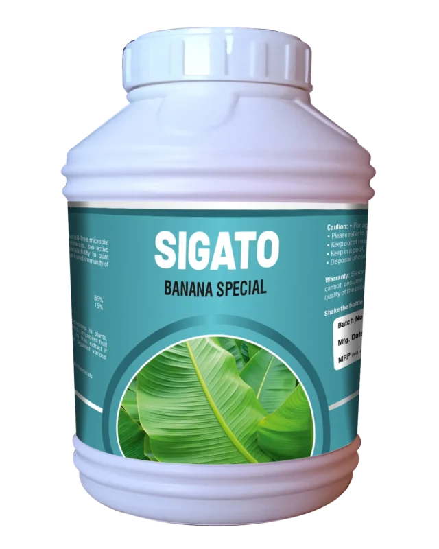 Sigato