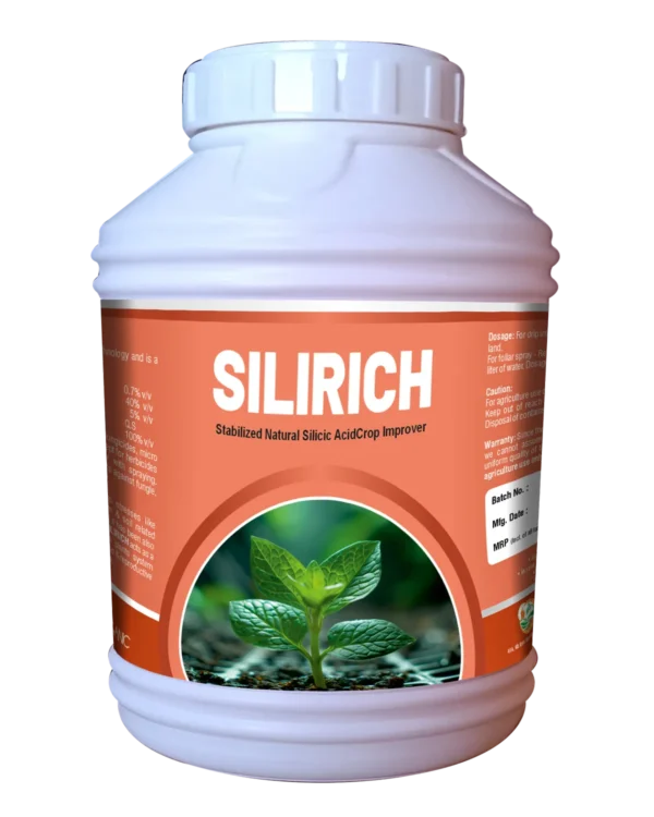 Silirich jumbo