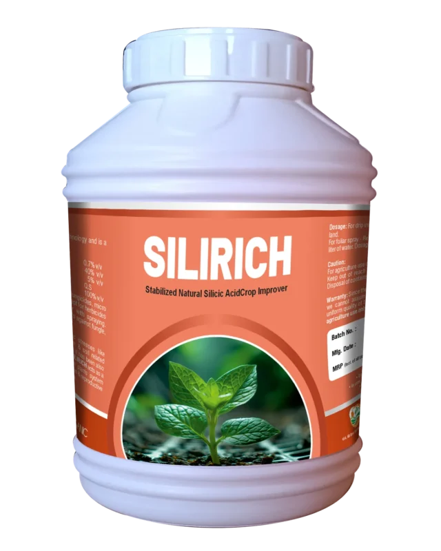 Silirich jumbo