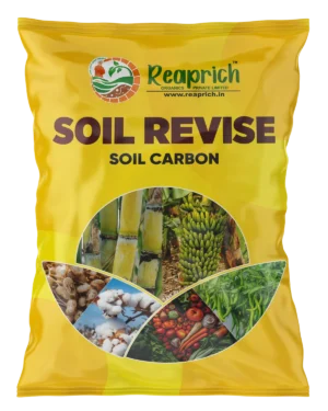 Soil revise Carbon