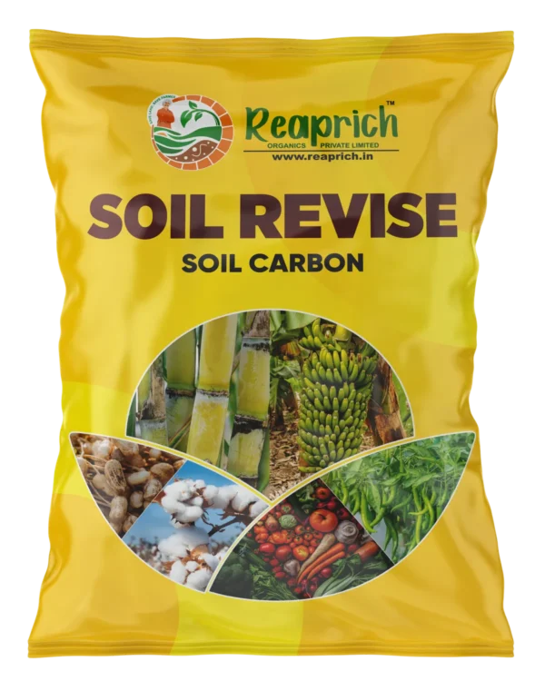Soil revise Carbon