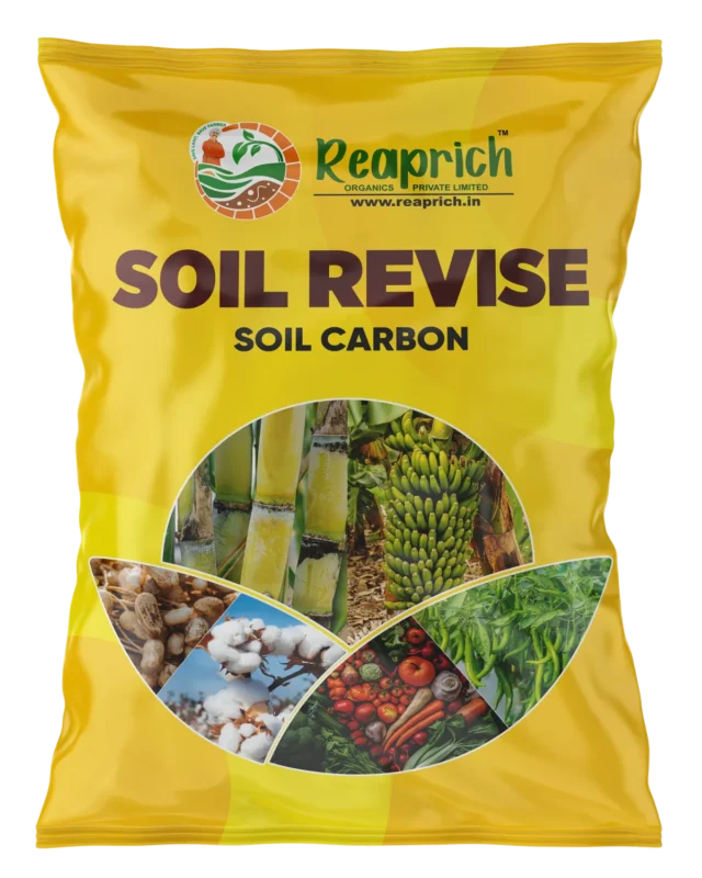 Soil revise Carbon